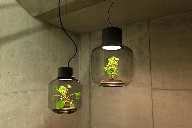 將植物放在一款密閉的LED燈具中能持續(xù)生長嗎？